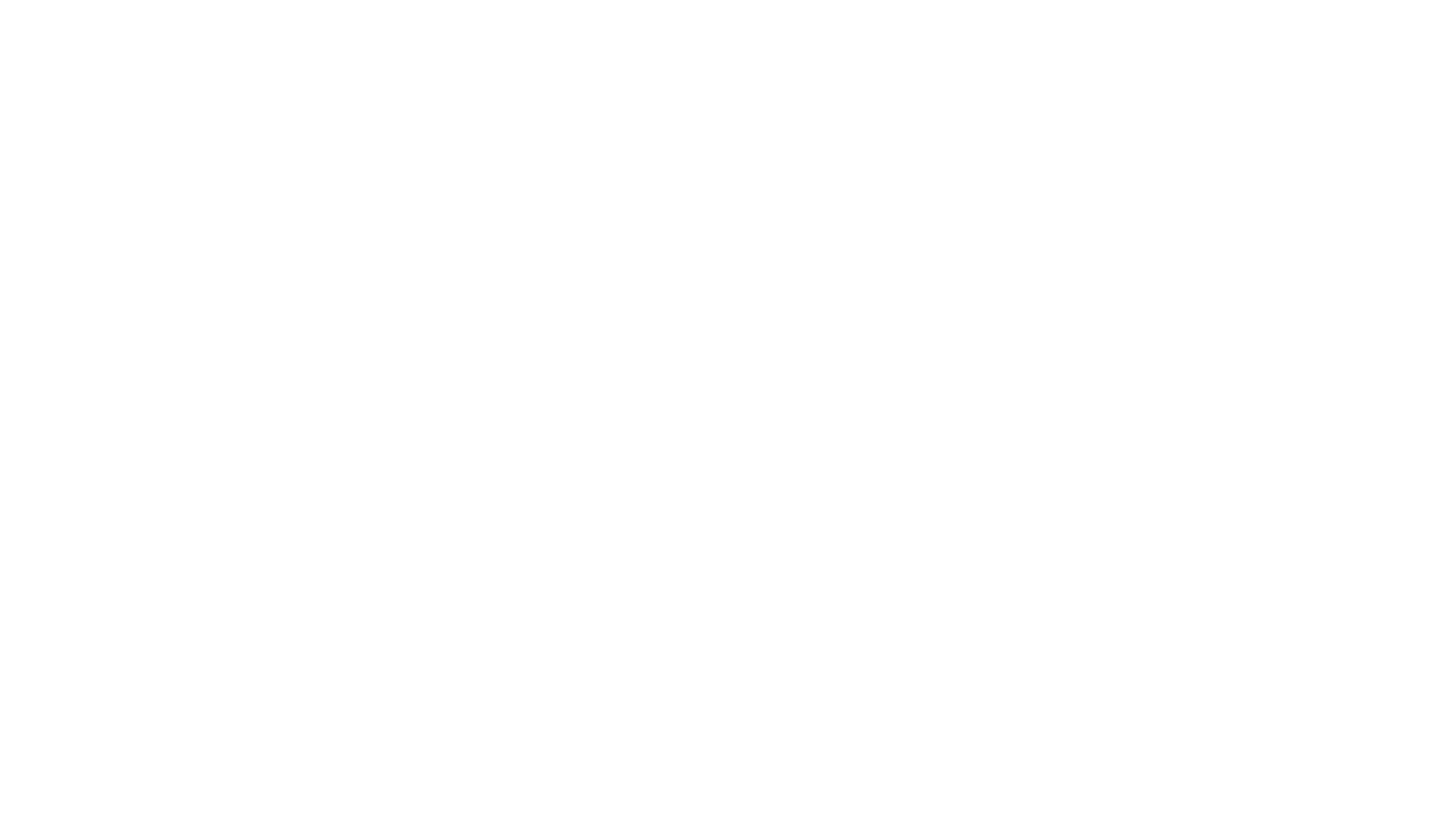 spat revolution features